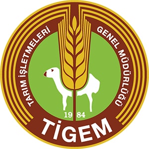 tigem client-image