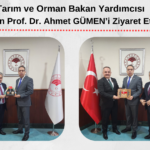 bakan yardımcısı ahmet gümen